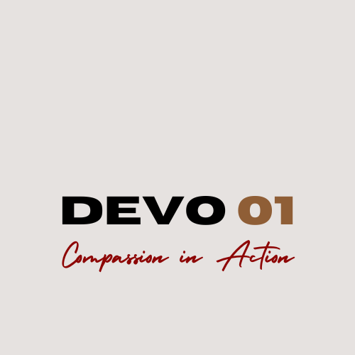 DEVO 01