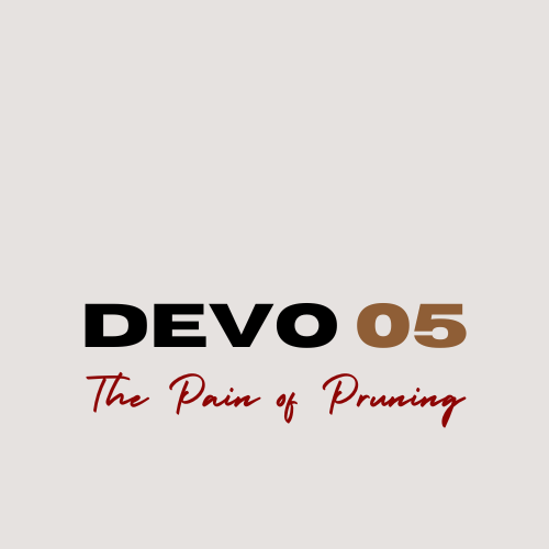 DEVO 05