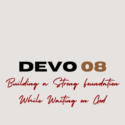 DEVO 08